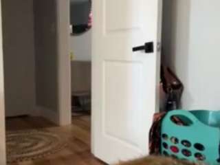 Live webcam model laylared on Soda Cams