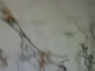 laylared