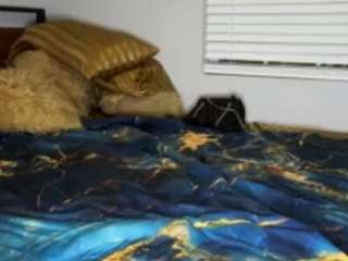 Laylared's cam show statistics and live stream