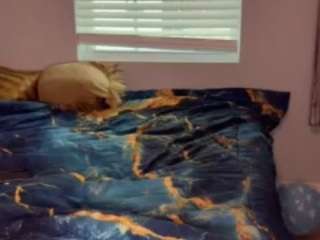LaylaRed live cam
