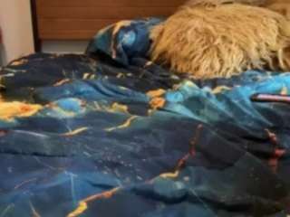 laylared live webcam show