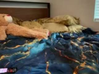 laylared live cam
