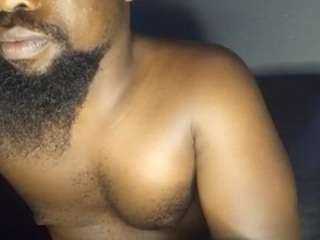 beard-beast