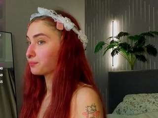 Di-bunny's cam show statistics and live stream