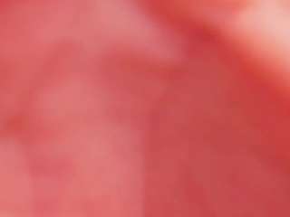 EllaMinx