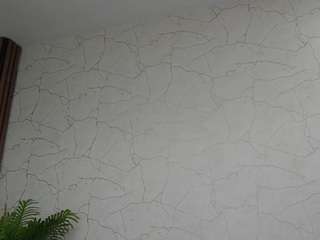 AvaDesire