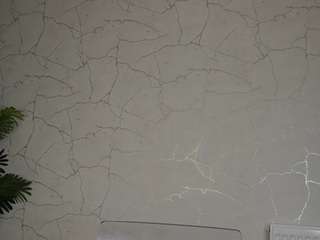 AvaDesire