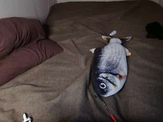 effietokunaga
