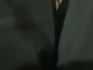 carlosalbert02