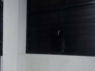 everwynss
