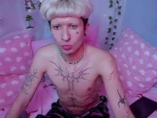 FinnEcho live cam preview
