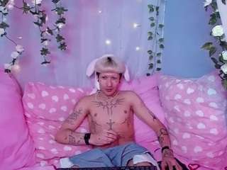 FinnEcho live cam preview