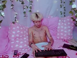 FinnEcho live cam preview