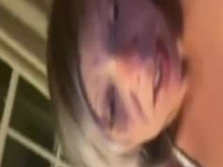 chelleflower