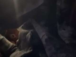 broinstreeteverythinginsheets