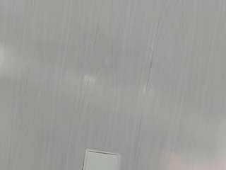 dalila-sp
