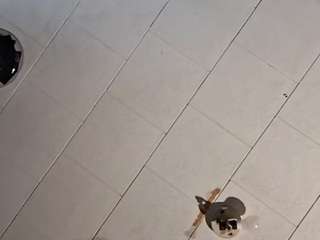 WYNONASTETSON live cam preview