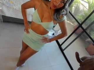 anierouse