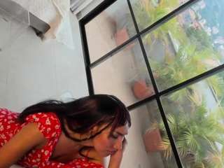 anierouse