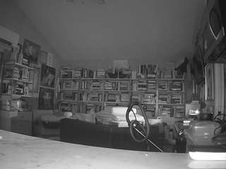 voyeurcam-bridgetleewalters-02