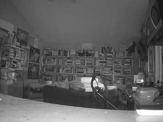 voyeurcam-bridgetleewalters-02