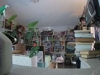  live cam