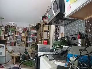 voyeurcam-bridgetleewalters-02