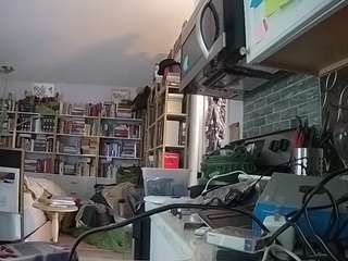 voyeurcam bridgetleewalters 02