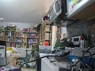 voyeurcam-bridge... Live Webcam on CamSoda