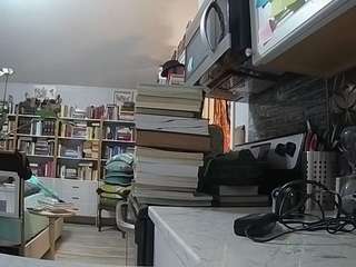 voyeurcam-bridge... Live Webcam on CamSoda