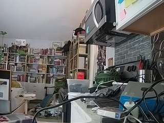 voyeurcam-bridgetleewalters-02