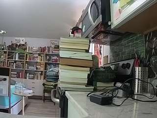 voyeurcam-bridgetleewalters-02