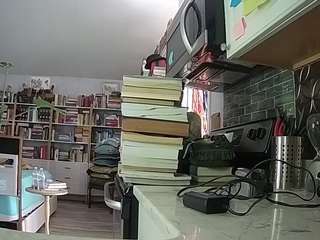 voyeurcam-bridge... Live Webcam on CamSoda