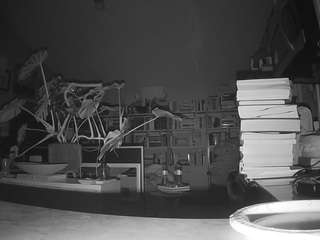 voyeurcam-bridge... Live Webcam on CamSoda