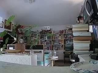 voyeurcam-bridgetleewalters-02 Webcam Model Profile