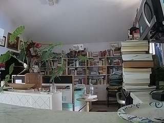voyeurcam-bridgetleewalters-02 Modèle Webcam Profil