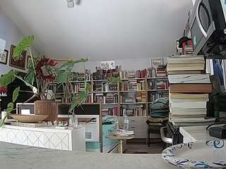 voyeurcam-bridgetleewalters-02