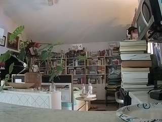 voyeurcam bridgetleewalters 02