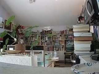 voyeurcam bridgetleewalters 02