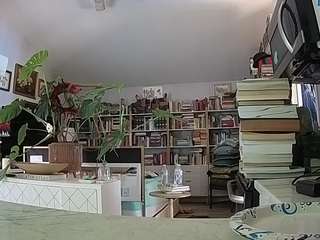 voyeurcam-bridgetleewalters-02 webcam model