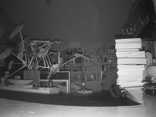 voyeurcam-bridgetleewalters-02 webcam model