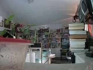 voyeurcam-bridge... Live Webcam on CamSoda