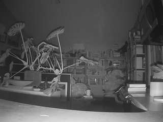 Cam Porno Hd, Sexwebcam, Pov, No Smoking, No Drinking, Hidden Cam, Hidden, Flashing, Flash, Amateur...