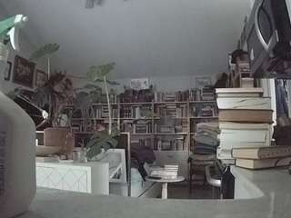 voyeurcam-bridgetleewalters-02