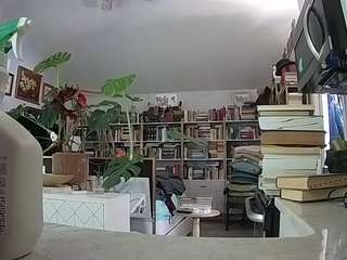 voyeurcam-bridge... Live Webcam on CamSoda