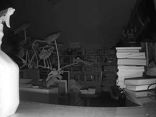 voyeurcam-bridgetleewalters-02