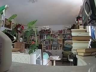 voyeurcam-bridgetleewalters-02 webcam