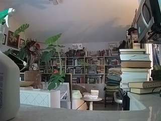 voyeurcam-bridge... Live Webcam on CamSoda