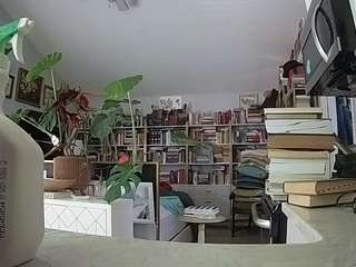 voyeurcam-bridgetleewalters-02