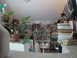 voyeurcam bridgetleewalters 02